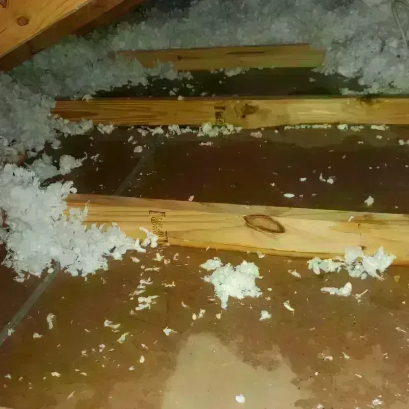 Attic Water Damage in Dunlap, IL