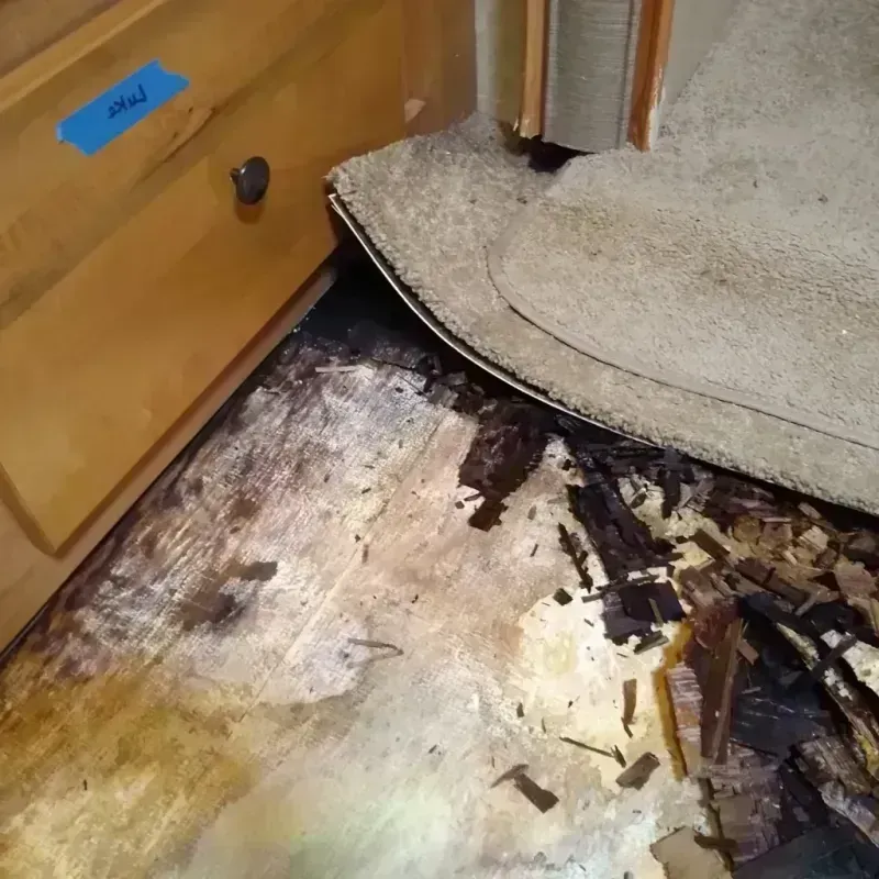 Wood Floor Water Damage in Dunlap, IL